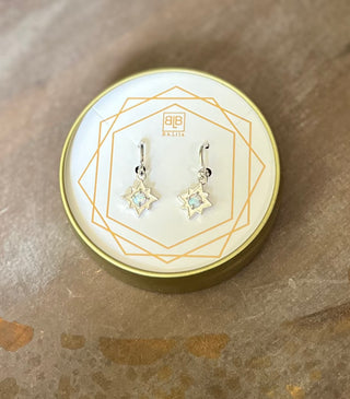 Dangling Earrings